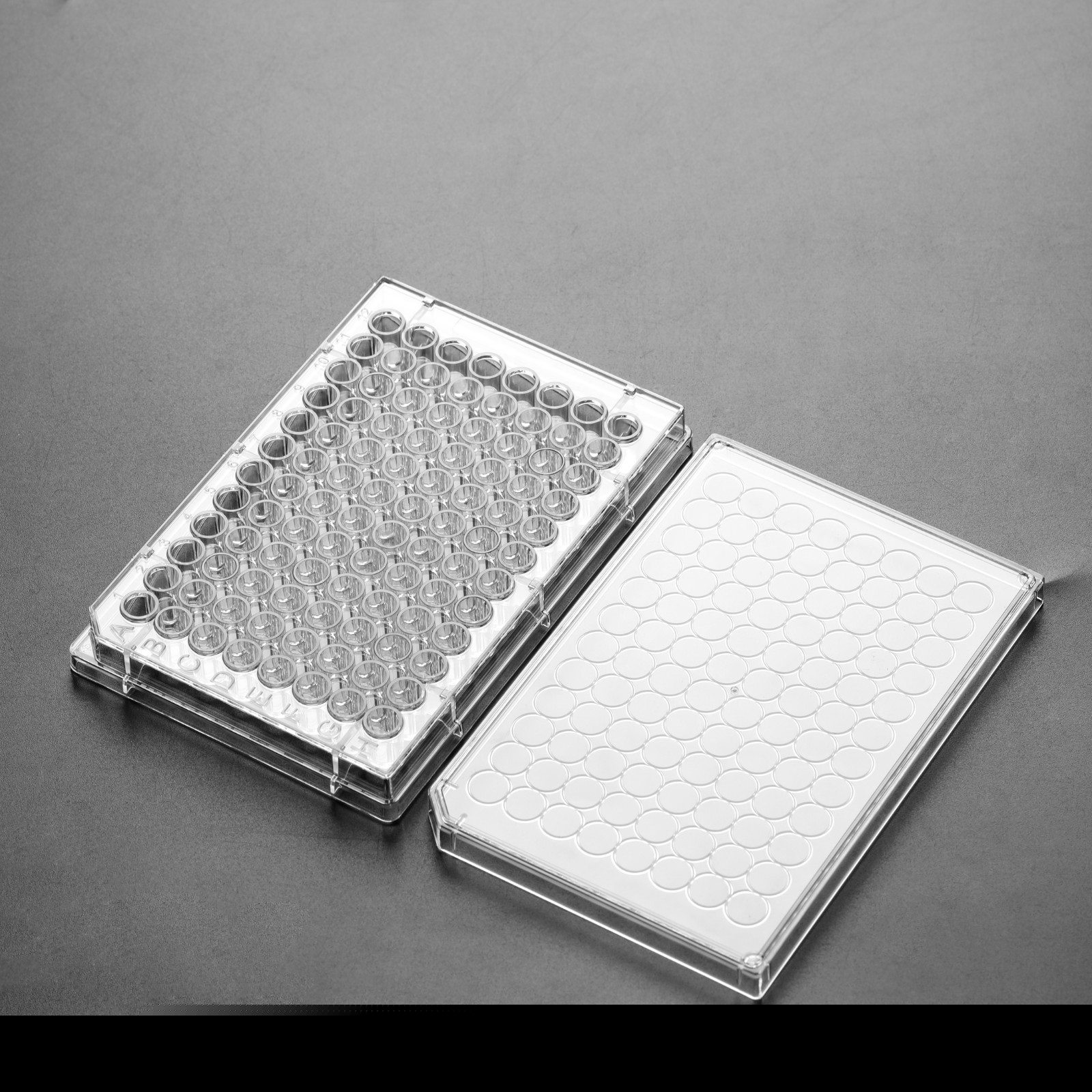 细胞培养板 细胞培养板