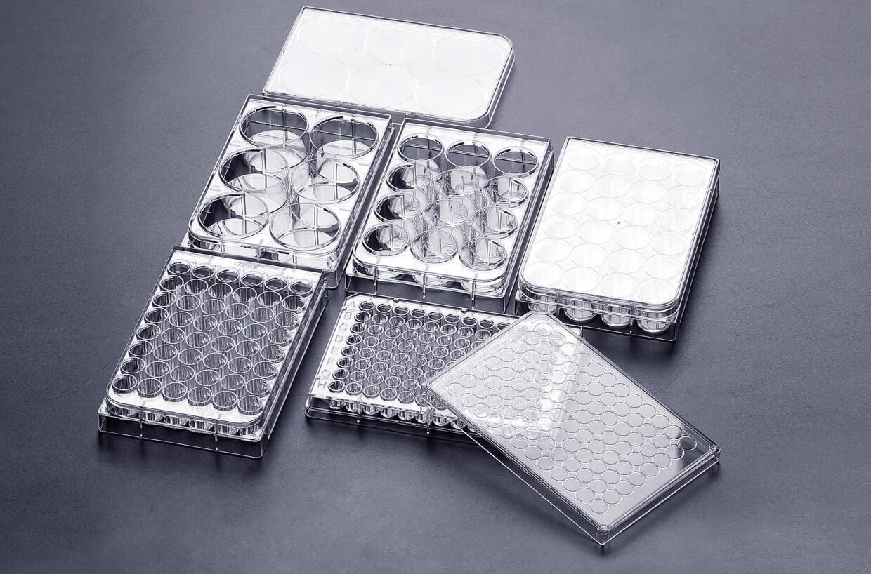 细胞培养板 细胞培养板