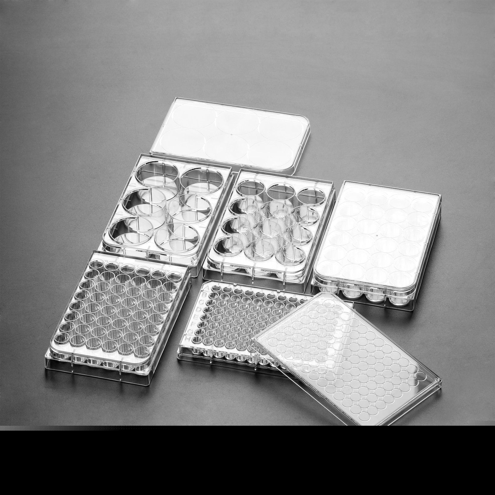 多孔细胞培养板 多孔细胞培养板