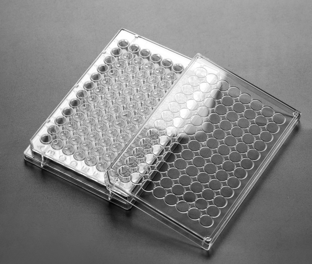 96孔细胞培养板