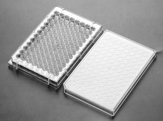 96孔细胞培养板 96孔细胞培养板