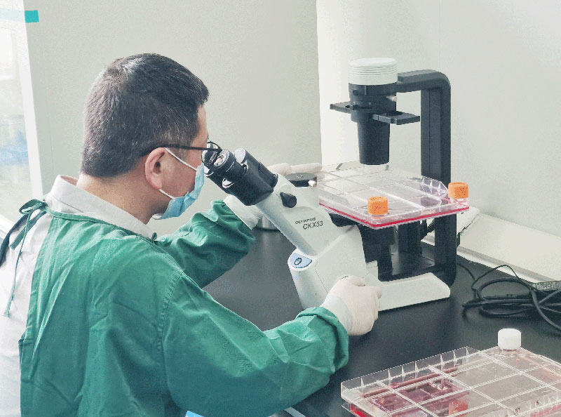 1层细胞工厂质量检测 1层细胞工厂质量检测