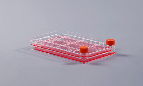 细胞工厂的生产流程