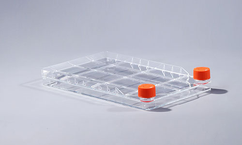 细胞工厂内细胞堆积是什么原因