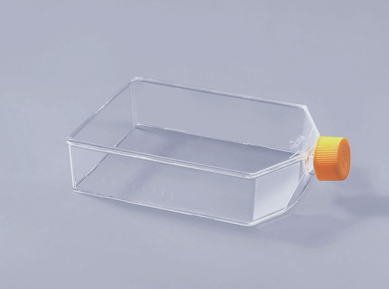 消化细胞培养瓶内细胞常用的胰蛋白酶