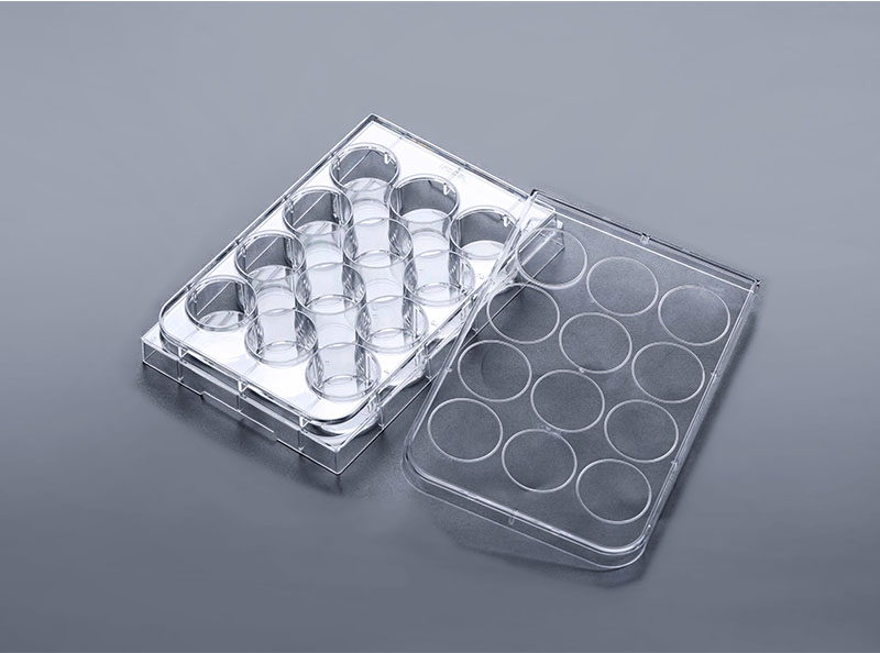 12孔超低吸附细胞培养板