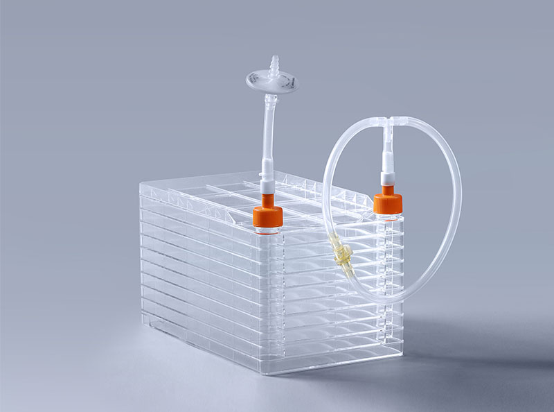 细胞工厂在新冠疫苗制备中的应用