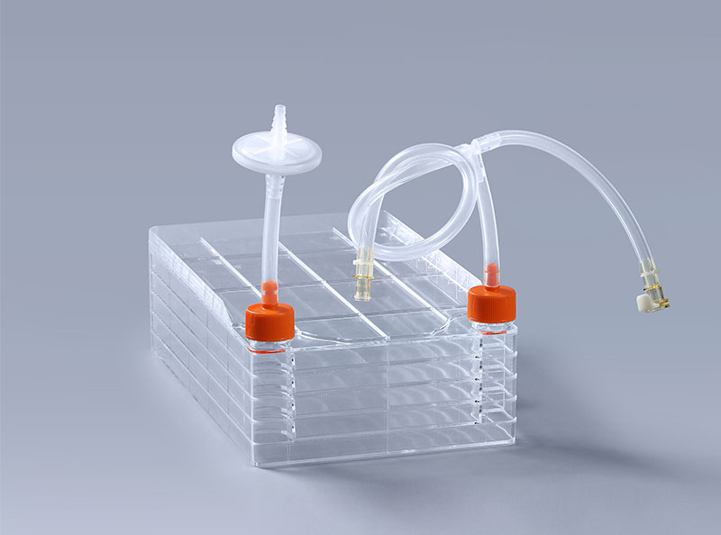 细胞工厂的结构特点