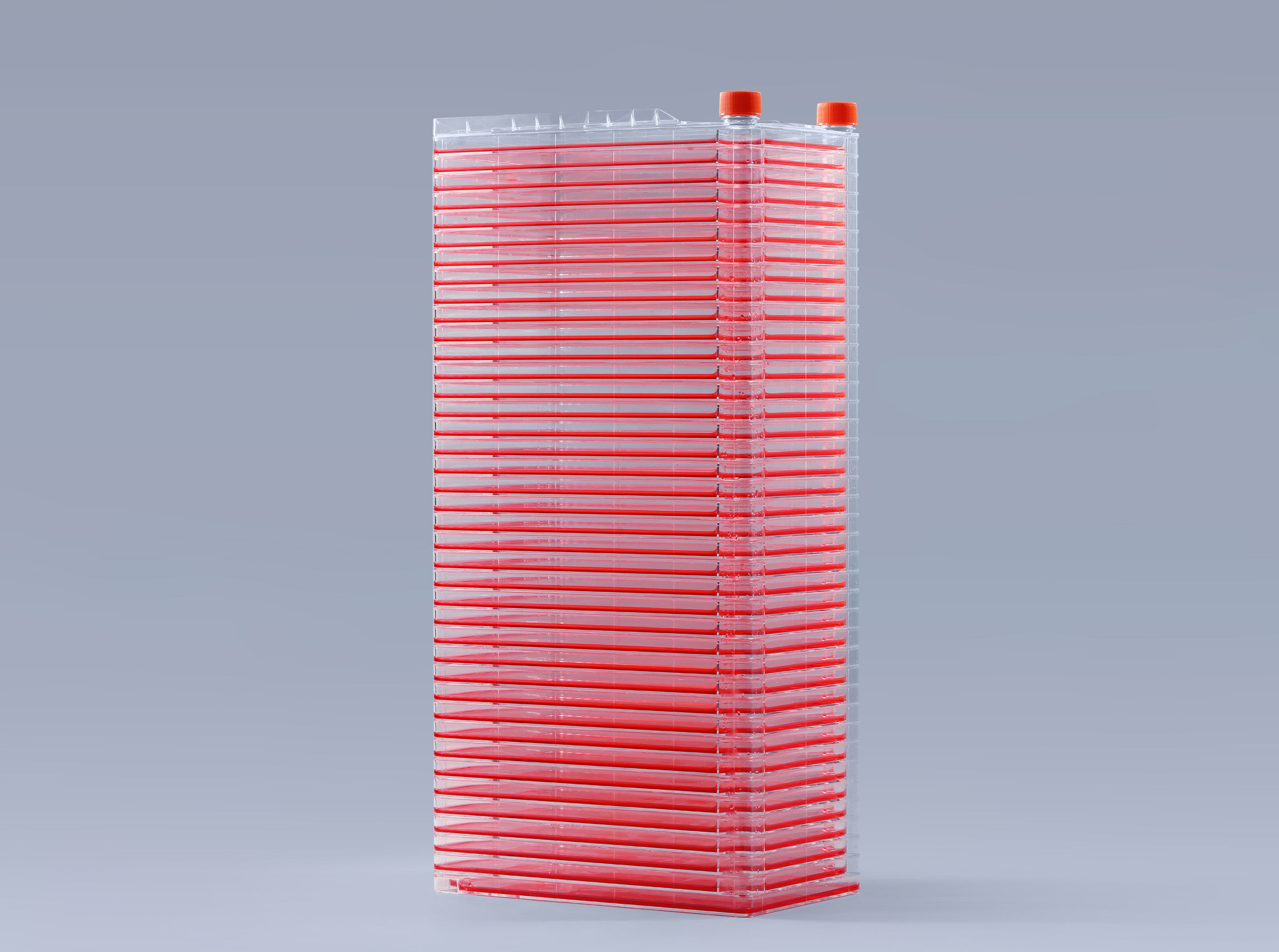 细胞工厂内出现支原体污染怎么办_富道细胞 细胞工厂内出现支原体污染怎么办_富道细胞