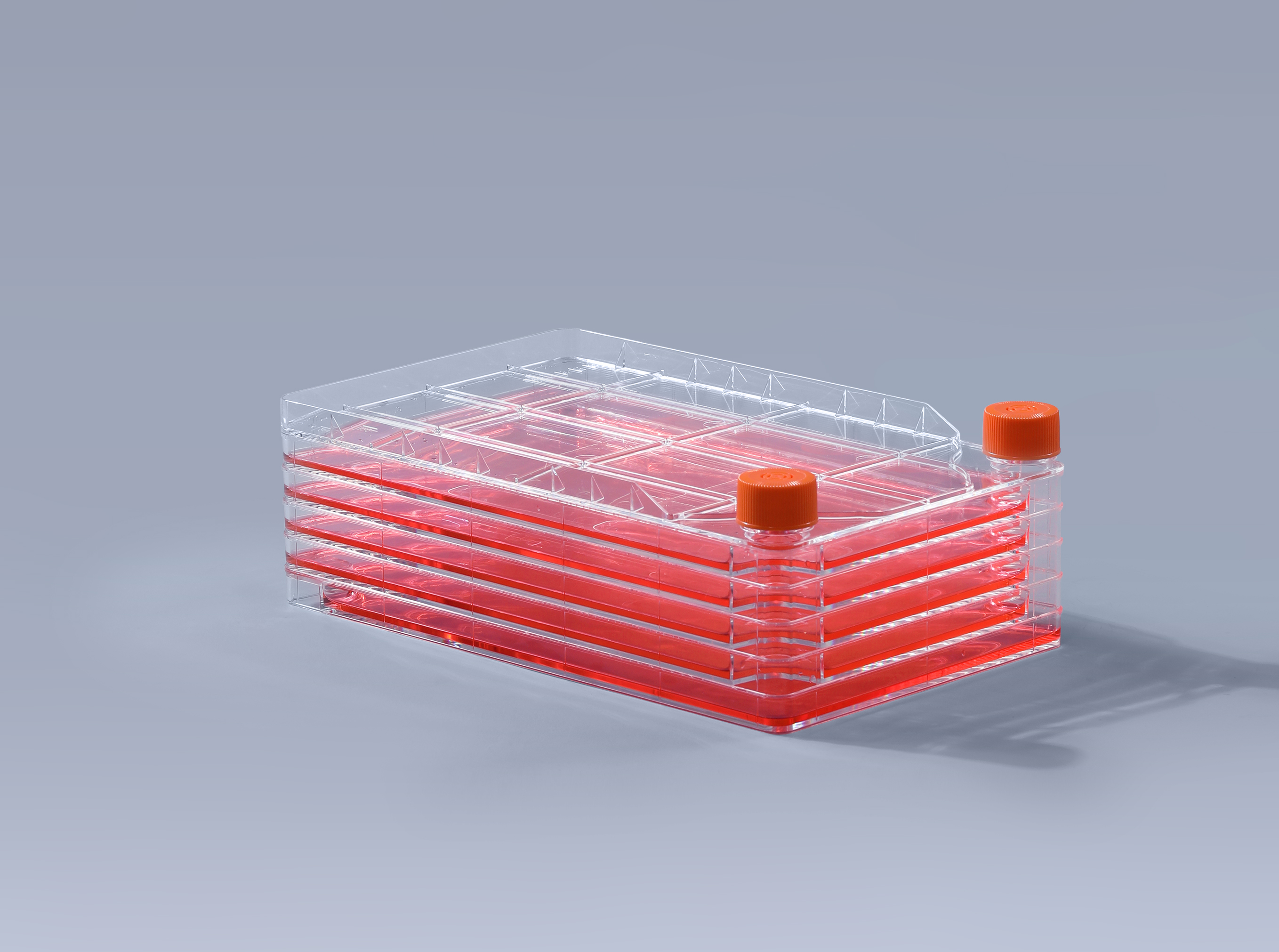 细胞工厂在鸡马立克氏病疫苗中的应用_富道细胞 细胞工厂在鸡马立克氏病疫苗中的应用_富道细胞