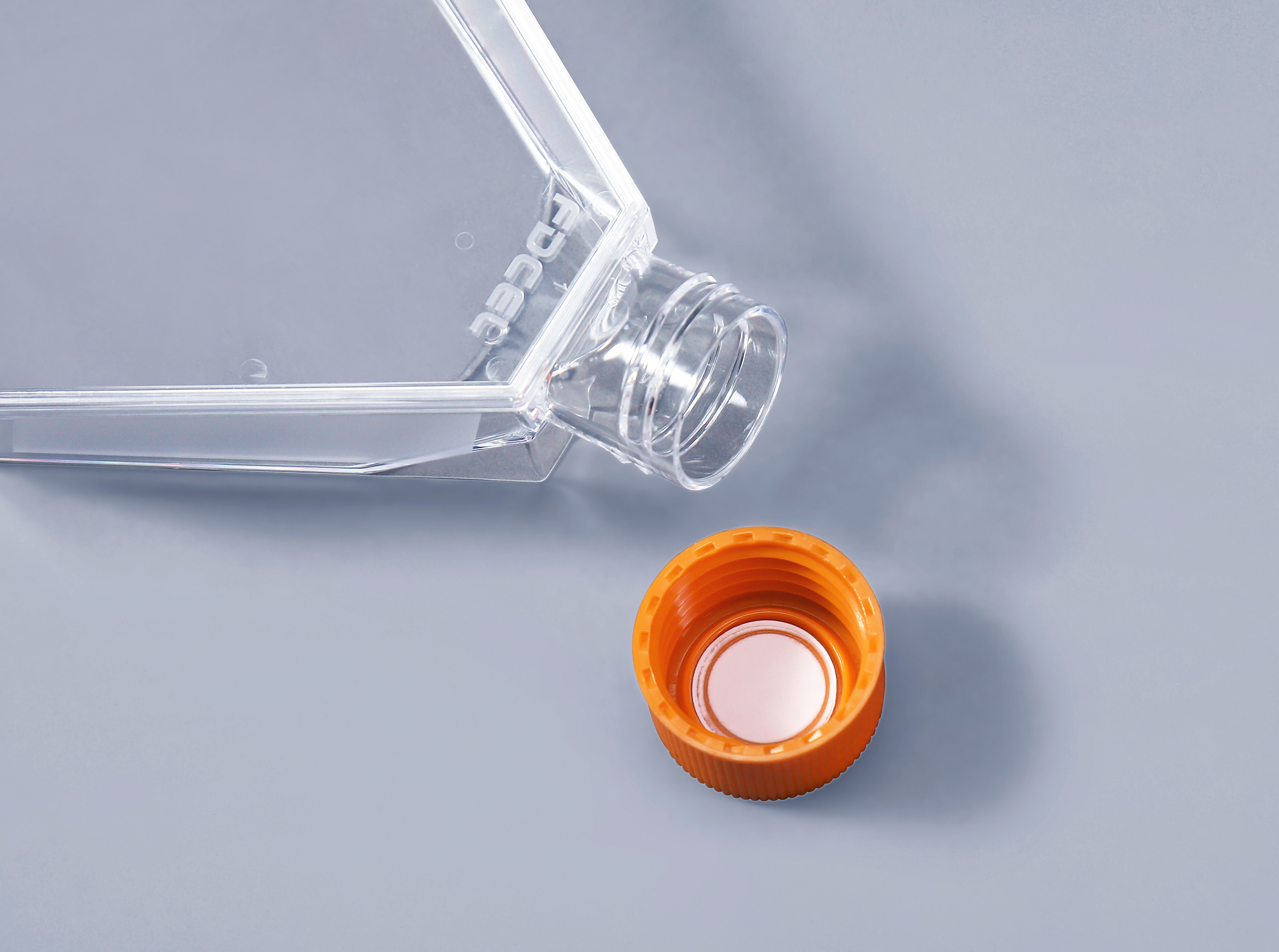 细胞培养瓶的灭菌方式介绍_富道细胞 细胞培养瓶的灭菌方式介绍_富道细胞