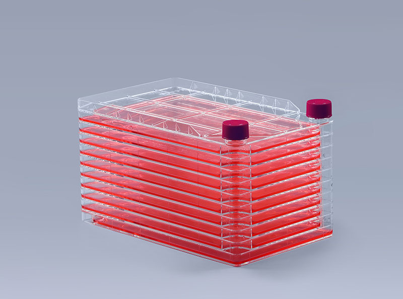 10层细胞培养器