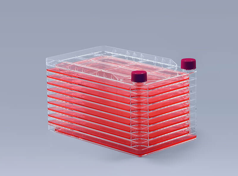 细胞工厂污染的几种表现及补救方法(上)_富道细胞 细胞工厂污染的几种表现及补救方法(上)_富道细胞