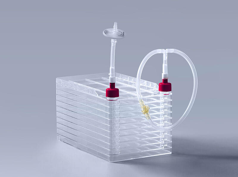 细胞工厂内支原体污染症状_富道细胞 细胞工厂内支原体污染症状_富道细胞