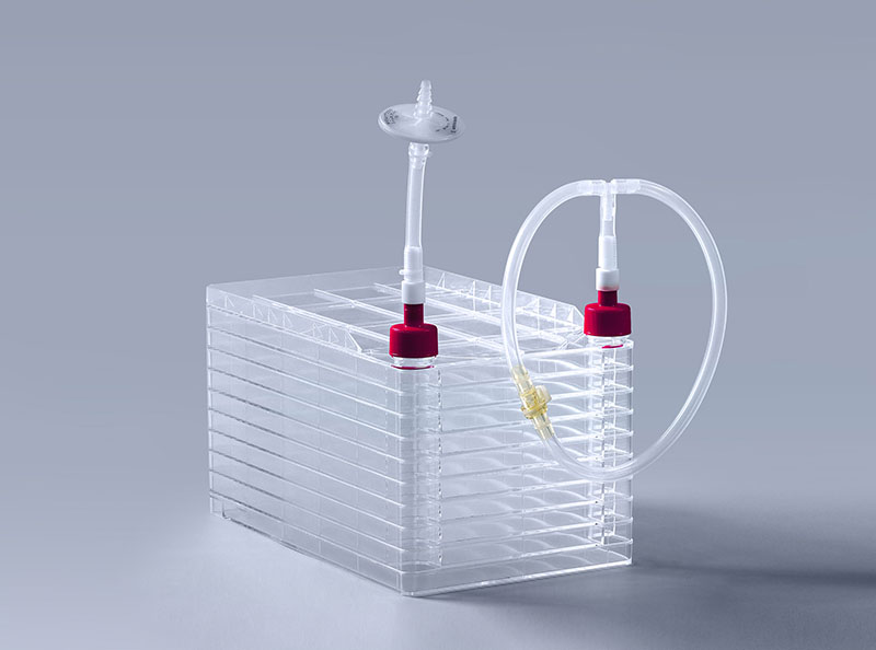 细胞工厂如何助力疫苗高效稳定生产_富道细胞