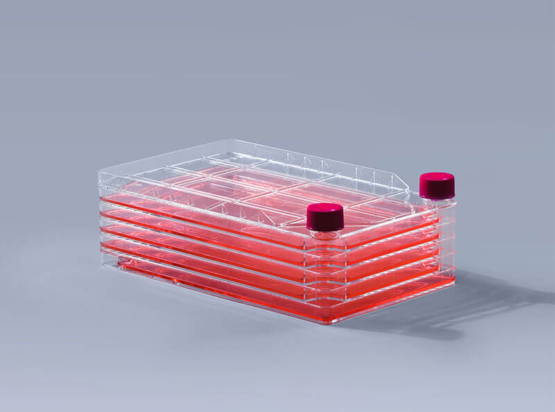 细胞工厂培养过程中遇到的两种污染_富道细胞