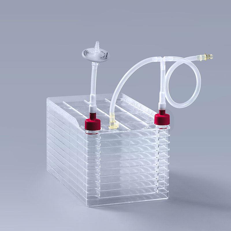 选择富道细胞工厂的重要因素